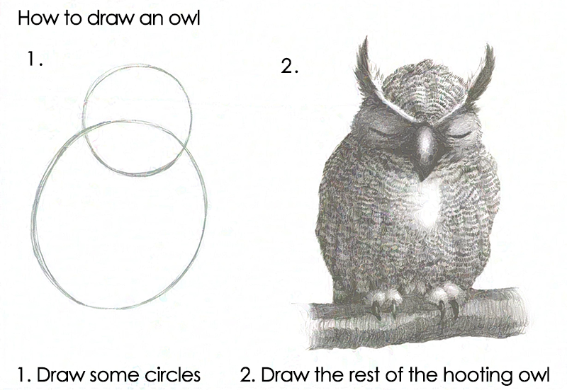 Two-step drawing tutorial on rendering the Hoot owl